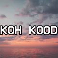 Sandflies Koh Kood