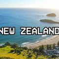 Sandflies New Zealand