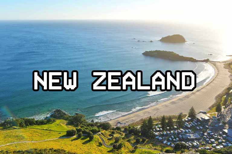 Sandflies New Zealand